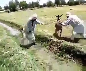 teri ak ada ny kia kia mujhy tera dewana bana dia