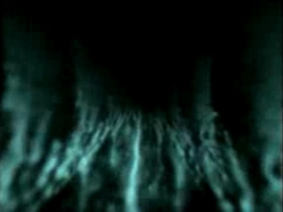 Vidéo d'intro Nekokun & Bartpab