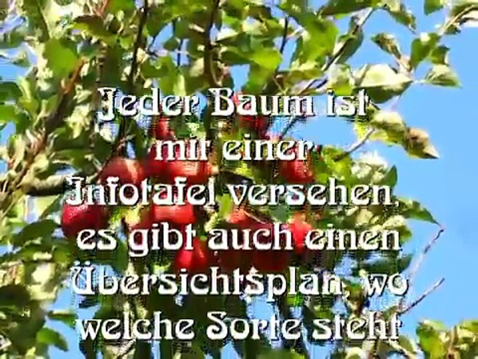 Garten alter Obstsorten