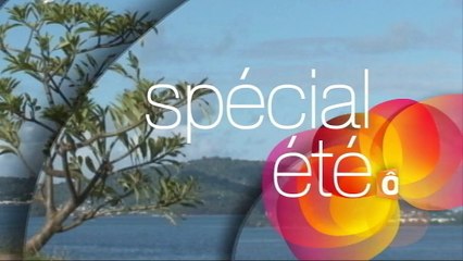 Investigatiôns : Les routes du crime