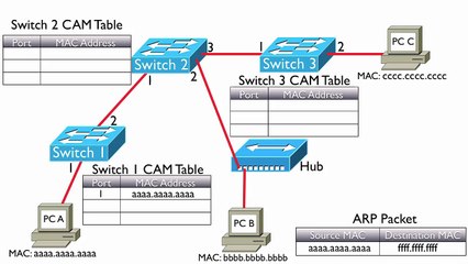 61.Traffic Flow Through a Switched Network