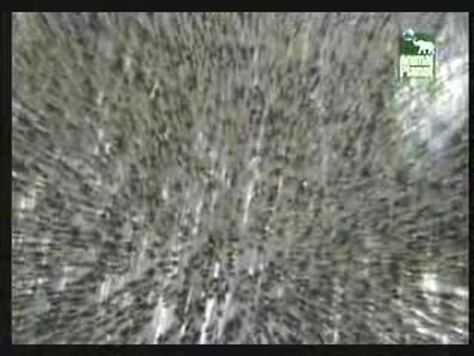 Dime que tiras al agua