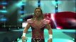 WWE 2K14   Shawn Michaels Triple H Entrance