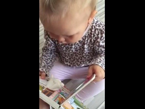 Baby adorably startled by harmless lamb book