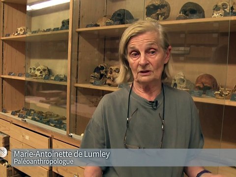 Une dent humaine de 560.000 ans découverte dans les Pyrénées-Orientales