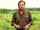 A TV program on my solar tracking system and agriculture in Bangladesh
