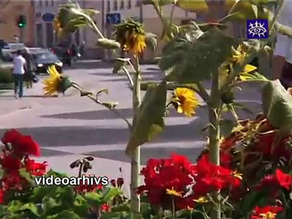 Ziņas Talsu novadam 06.01.2012