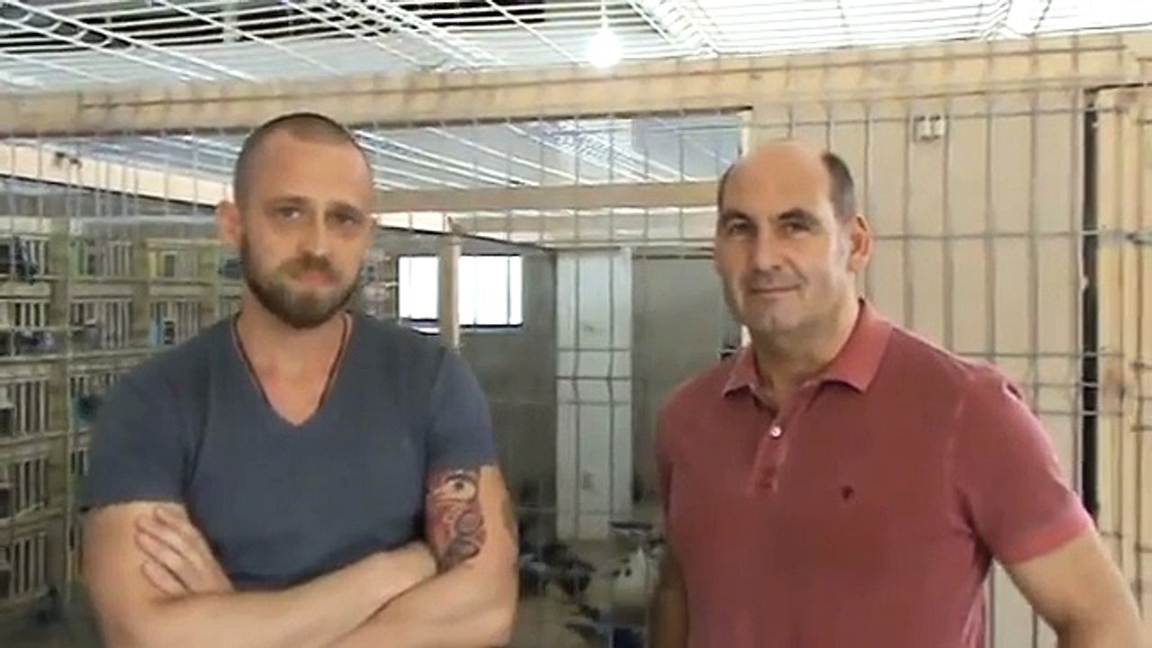 Interviu columbofil Dr Hans Peter Brockamp Bucuresti Romania 26 martie 2014