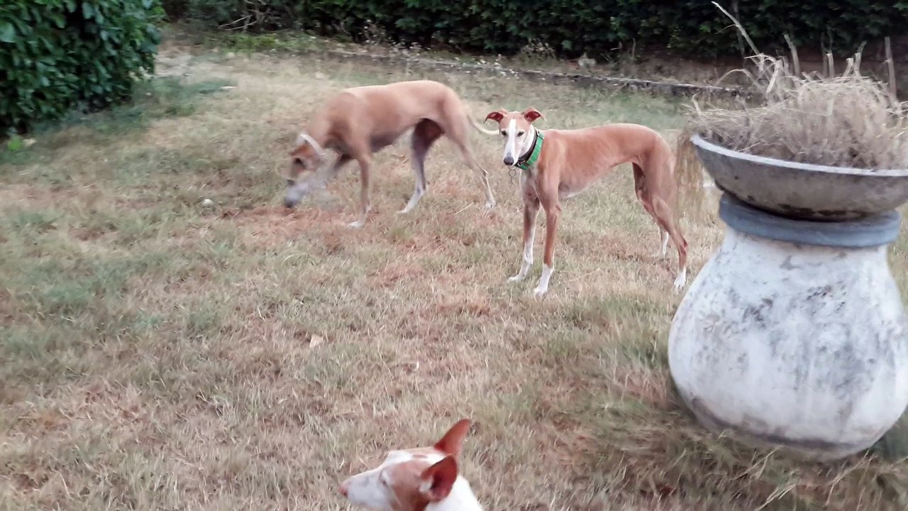 Cannelle, Bill et leurs copains/copines - 22 juillet 2015