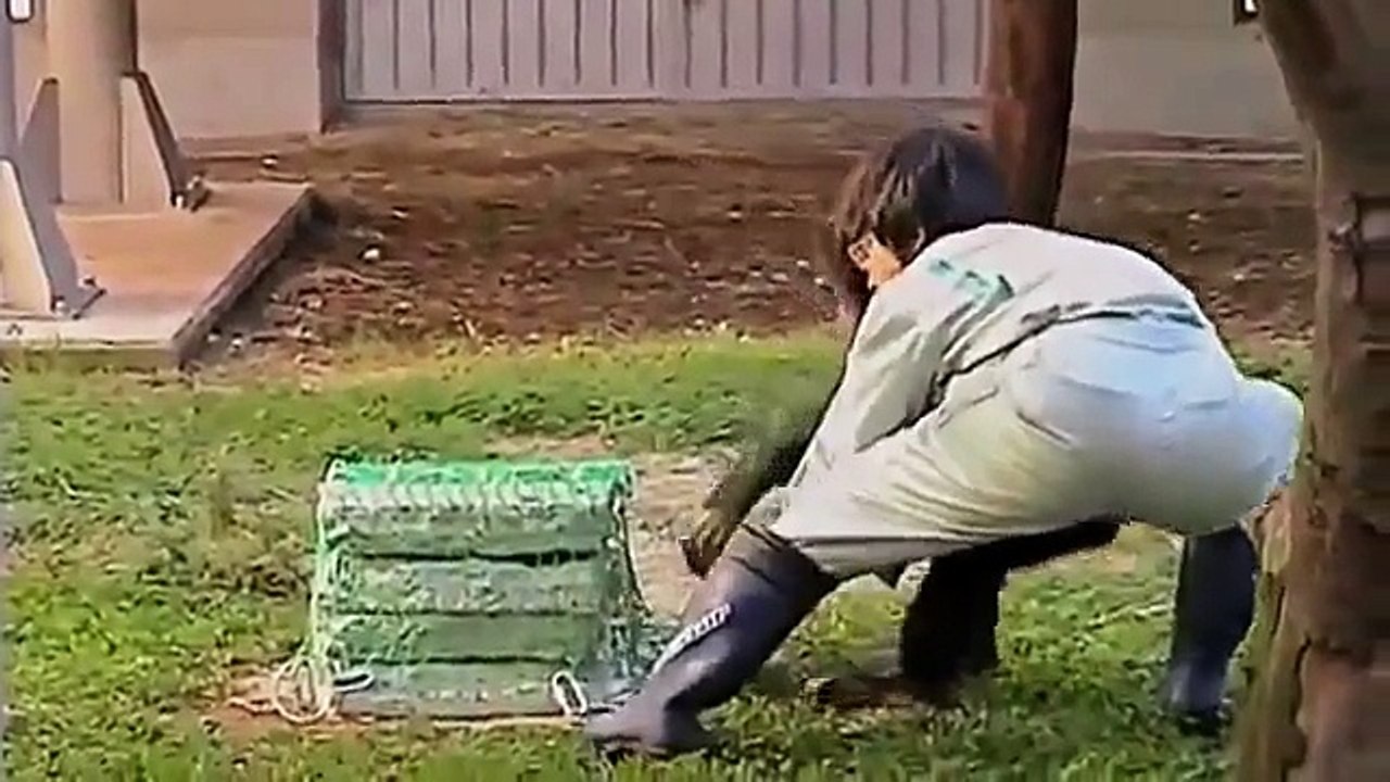 Discovery Science Life Best Documentary Films About Animals