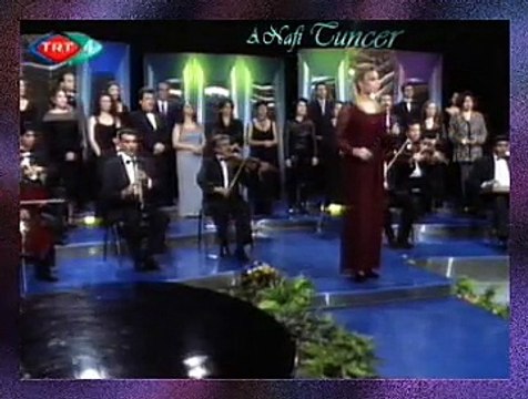 Mehsem ÖZŞİMŞİR *Bu Akşam Gün Batarken Gel*