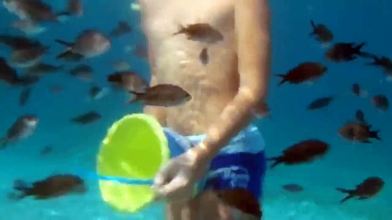 ДЕТИ НА МОРЕ.