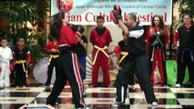 Karate - Asian Cultural Festival 2015