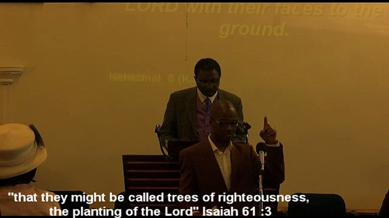 Trees of Righuosness