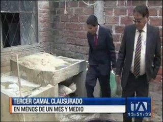 Encuentran otro camal clandestino en Riobamba