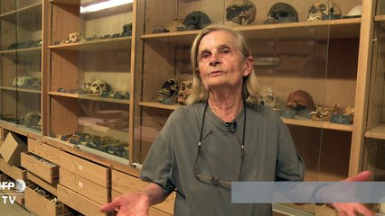 French teen finds 560,000 year-old tooth