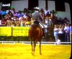 Rafael Arcos, Campeón de Andalucia de Doma Vaquera