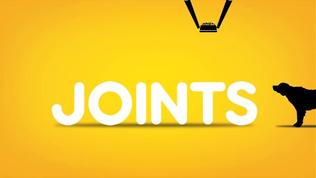 Healthy Joints: Dog Food for Healthy Joints - Pedigree