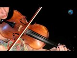 Afinação e Arcada em G duas oitavas - ( aula de violino)