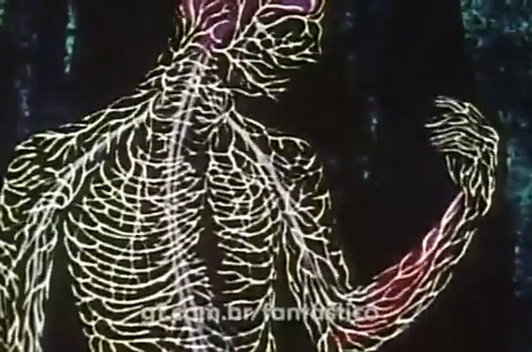 Fantástico. Ronnie Von fala sobre a doença e o boato de morte. 1979