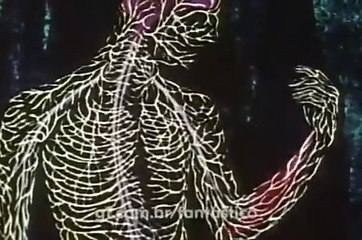 Fantástico. Ronnie Von fala sobre a doença e o boato de morte. 1979