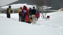Snow Queen Sled Dog Race 2015