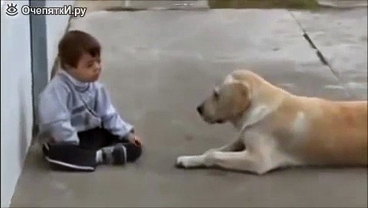 Lustige Tiere. Lass uns Freunde sein. Der junge und der Hund.