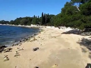Rovinj beaches: PUNTA CORRENTE