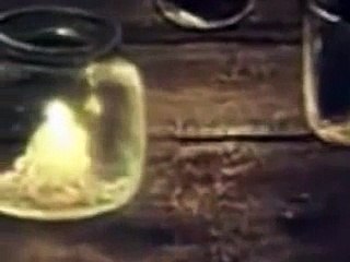 'The Tale of Tales' cartoon Yuri Norstein  Sojuzmultfilm 1979  3 of 3 HD