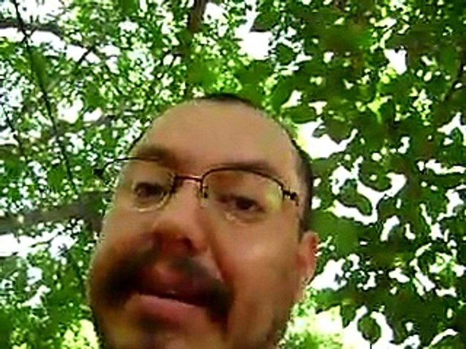 Testing a Garrett ACE 250 metal detector on my test patch , great metal detector for the price..