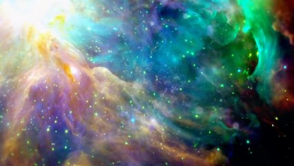 KNMvD - Presentatie nieuw logo 2012