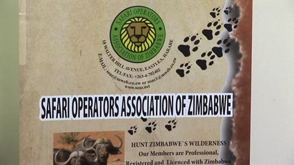 Estadounidense acusado de matar a león en Zimbabue