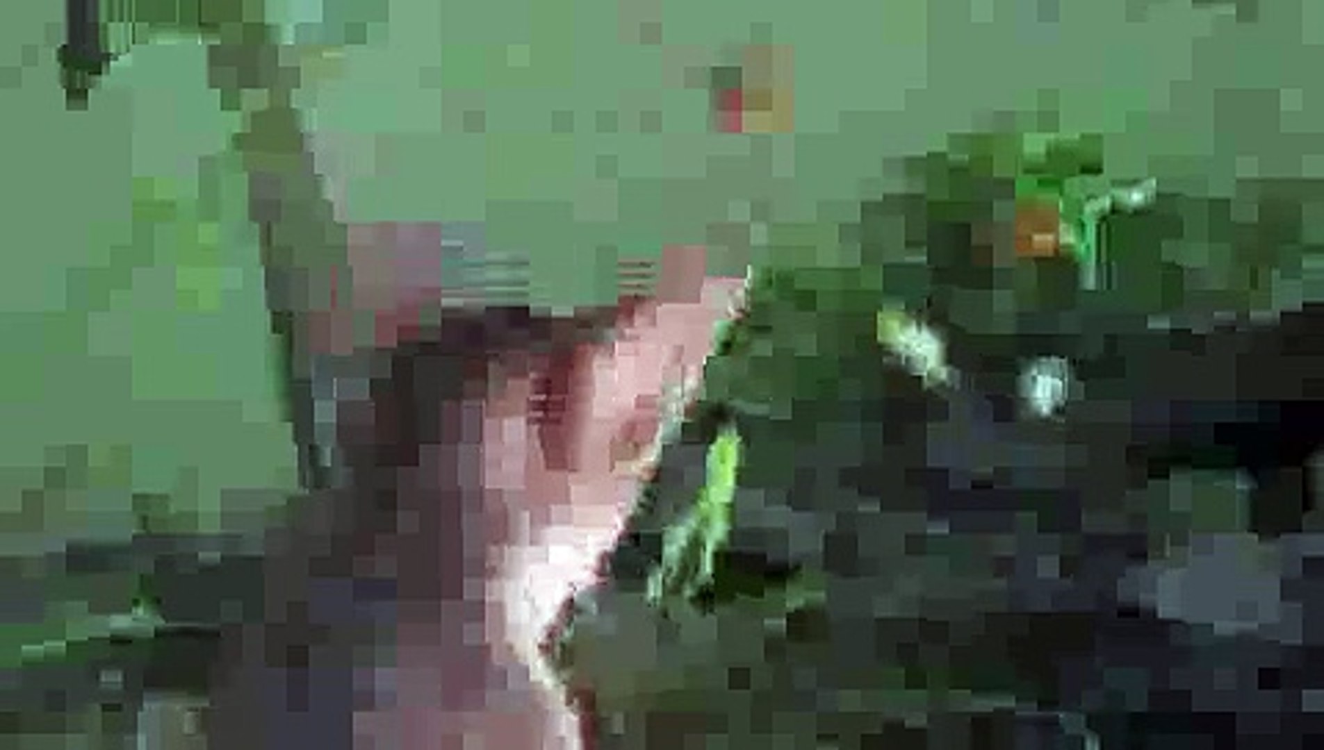⁣Fish Tease Kitten - Kitten FAIL!(ipad)