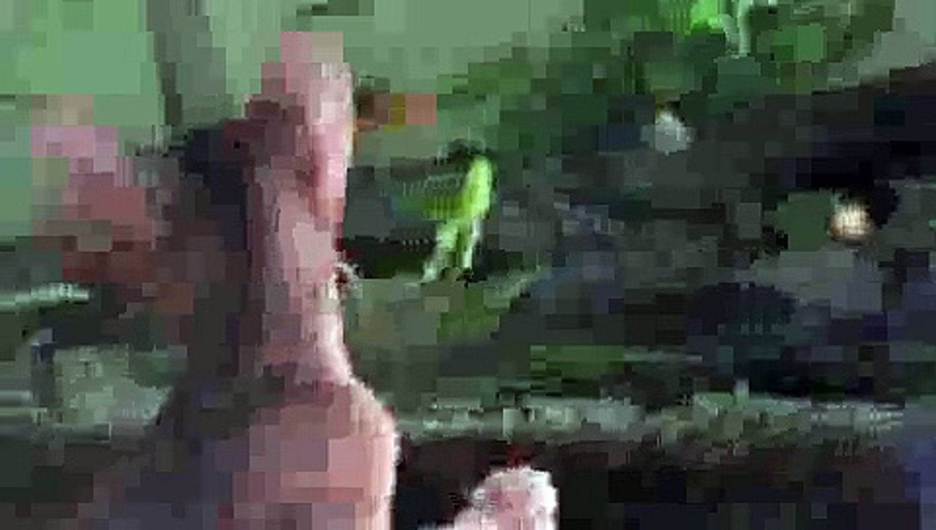 ⁣Fish Tease Kitten - Kitten FAIL!