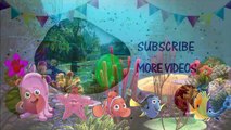 Clown Fish Nemo Finger Family | Nursery Rhymes | 3D Animation In HD From Binggo Channel