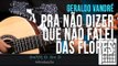 Geraldo Vandré - Pra Não Dizer Que Não Falei Das Flores (aula de violão)