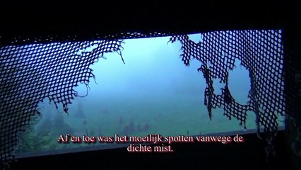 De mooiste dieren van vier dagen spotten in de Ardennen