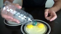 10 Amazing  Science Experiments you can do with Eggs