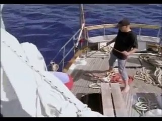 documentales en español dinosaurios y oceanos de la tierra_4