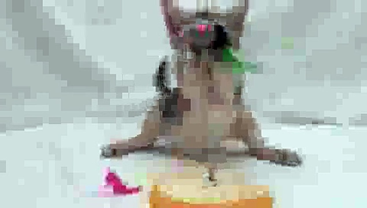 Kitten BOP and FLOP(ipad)