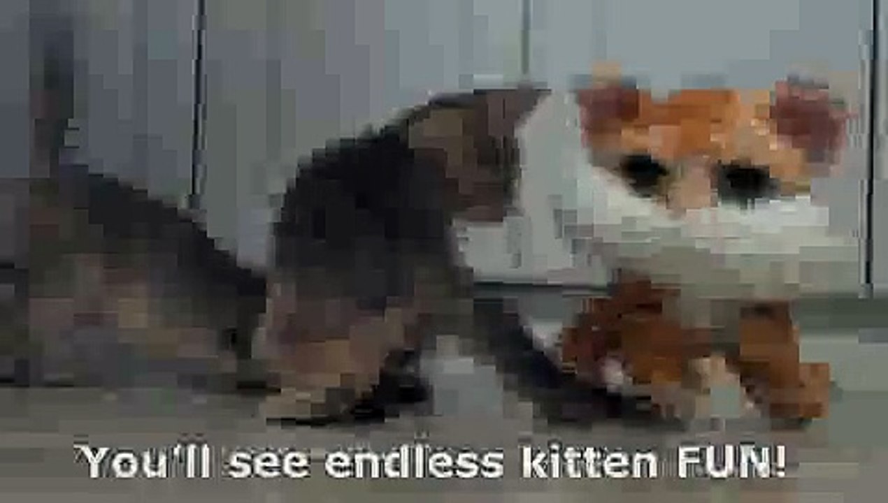 Abayomiabys Kitten Channel Trailer(ipad)