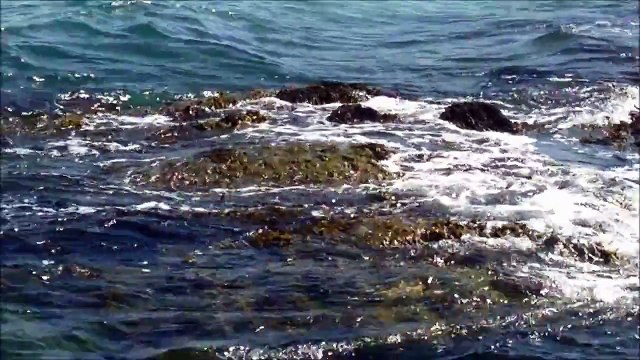 Dusty the Angry Dolphin on Inisheer Aran Islands Galway Ireland