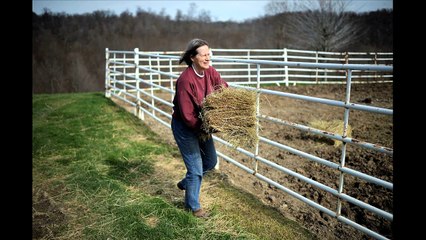 Horse Angels Ranch, horse rescue.