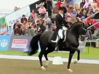 Dressage: Totilas--Black Velvet