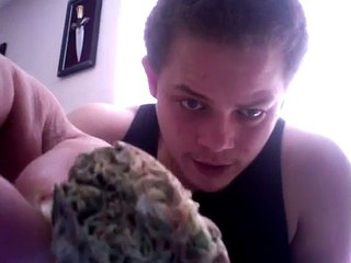 Northern Lights Review