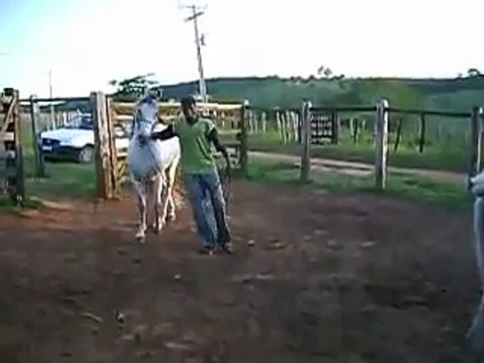 O cavalo TITANIC cruzando