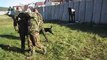 Explosive Detection Dogs