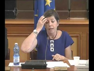 Roma - Rete Internet, audizione rappresentanti Fastweb (28.07.15)