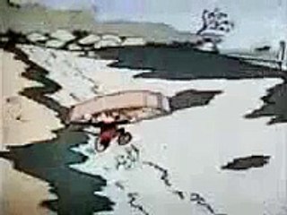 Mickey mouse and donald duck cartoon collections