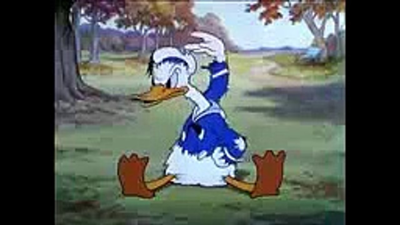 Mickey mouse and donald duck cartoon collections